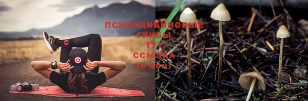 марки nbome Ладушкин