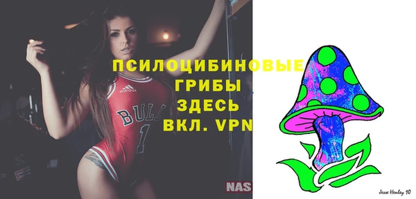 сатива Липки
