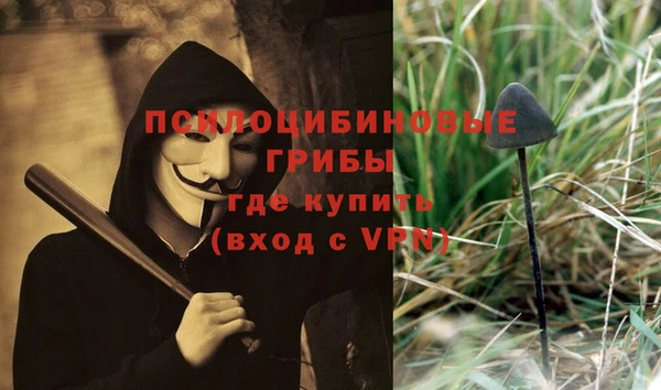 сатива Липки