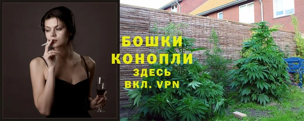 сатива Липки