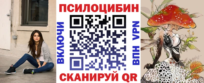 kraken маркетплейс Чёрмоз Псилоцибиновые грибы Cubensis